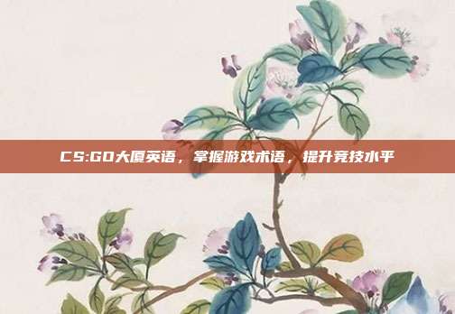 CS:GO大厦英语,掌握游戏术语,提升竞技水平
