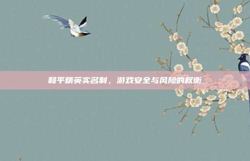 和平精英实名制,游戏安全与风险的权衡