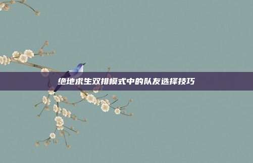 绝地求生双排模式中的队友选择技巧
