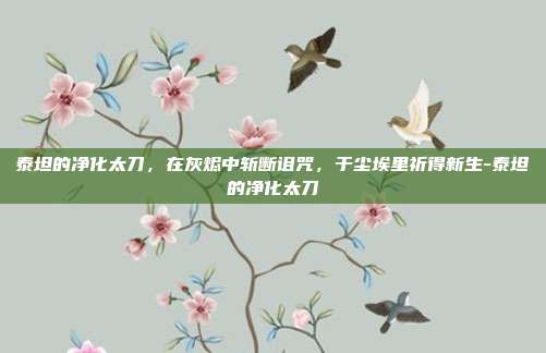 泰坦的净化太刀,在灰烬中斩断诅咒,于尘埃里祈得新生-泰坦的净化太刀