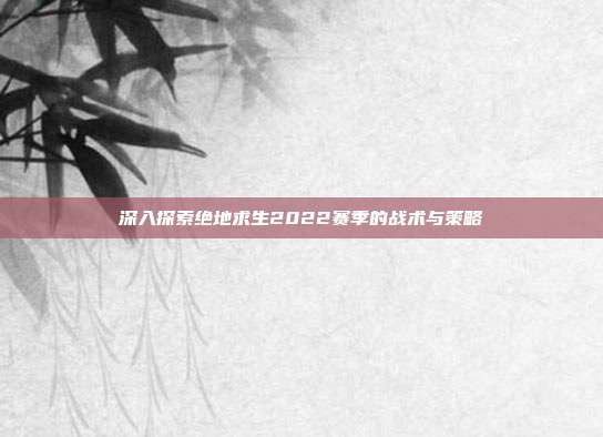 深入探索绝地求生2022赛季的战术与策略