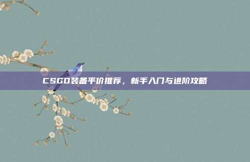 CSGO装备平价推荐，新手入门与进阶攻略
