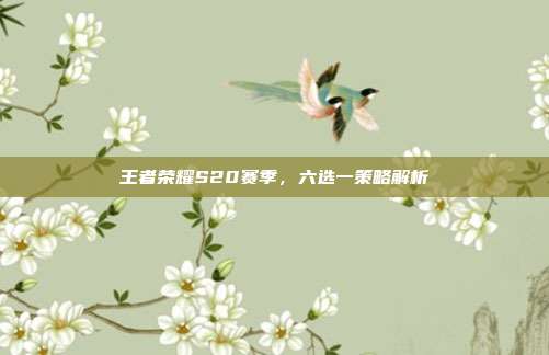 王者荣耀S20赛季,六选一策略解析