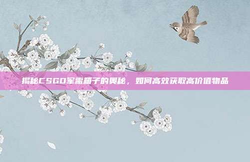揭秘CSGO军需箱子的奥秘，如何高效获取高价值物品