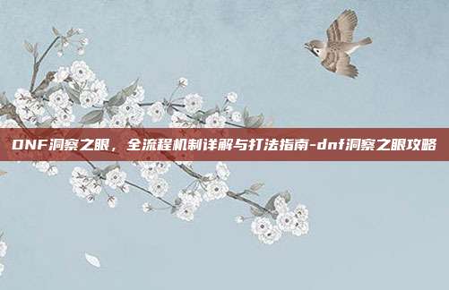 DNF洞察之眼,全流程机制详解与打法指南-dnf洞察之眼攻略