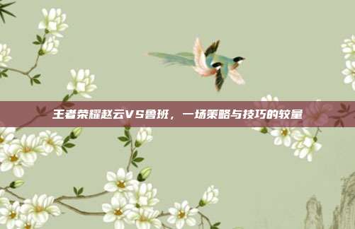王者荣耀赵云VS鲁班，一场策略与技巧的较量