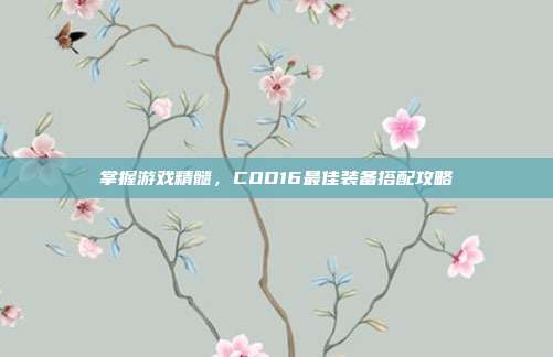 掌握游戏精髓，COD16最佳装备搭配攻略