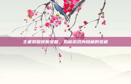 王者荣耀皮服宝箱，揭秘游戏内隐藏的宝藏