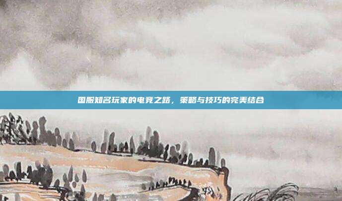 国服知名玩家的电竞之路，策略与技巧的完美结合