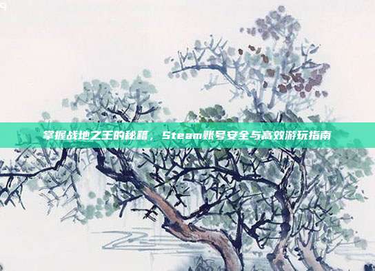 掌握战地之王的秘籍，Steam账号安全与高效游玩指南