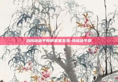 当玛塔塔平原的星星坠落-玛塔塔平原