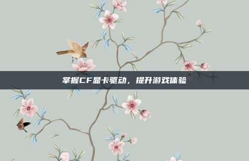 掌握CF显卡驱动，提升游戏体验