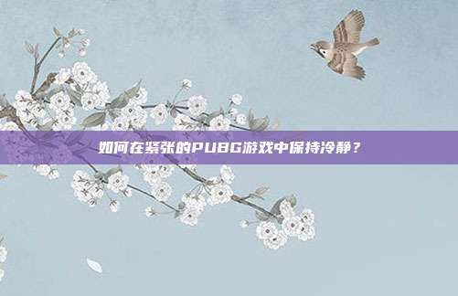 如何在紧张的PUBG游戏中保持冷静？