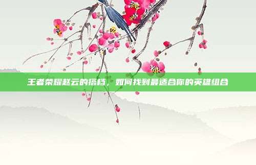 王者荣耀赵云的搭档,如何找到最适合你的英雄组合
