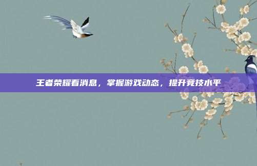 王者荣耀看消息，掌握游戏动态，提升竞技水平
