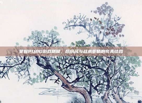 掌握PUBG游戏精髓,后缀名与战术策略的完美结合