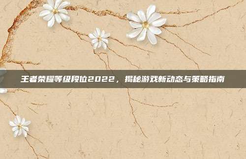 王者荣耀等级段位2022，揭秘游戏新动态与策略指南