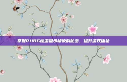 掌握PUBG端游显示帧数的秘密，提升游戏体验