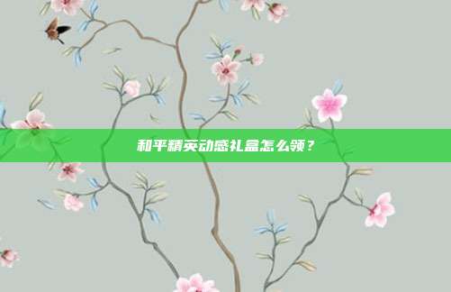 和平精英动感礼盒怎么领?