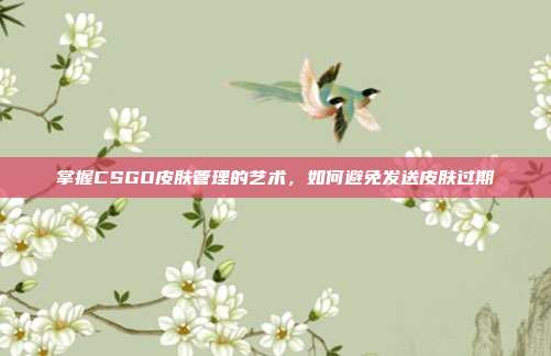 掌握CSGO皮肤管理的艺术，如何避免发送皮肤过期