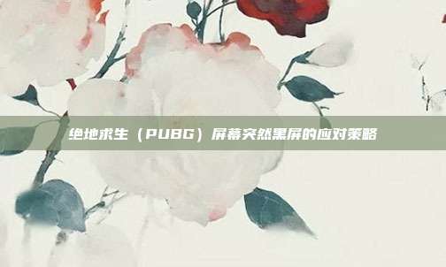 绝地求生(PUBG)屏幕突然黑屏的应对策略