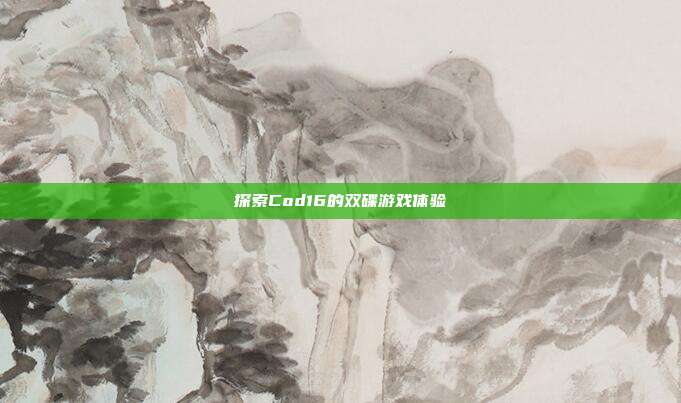 探索Cod16的双碟游戏体验