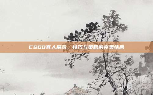 CSGO真人展示,技巧与策略的完美结合