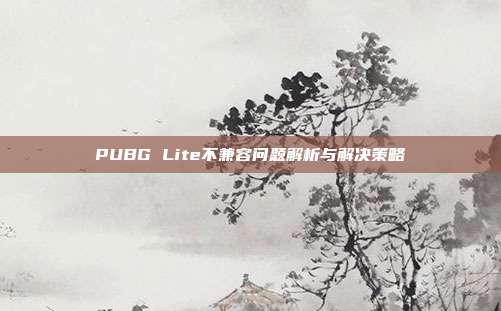 PUBG Lite不兼容问题解析与解决策略