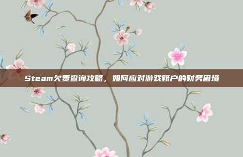 Steam欠费查询攻略，如何应对游戏账户的财务困境