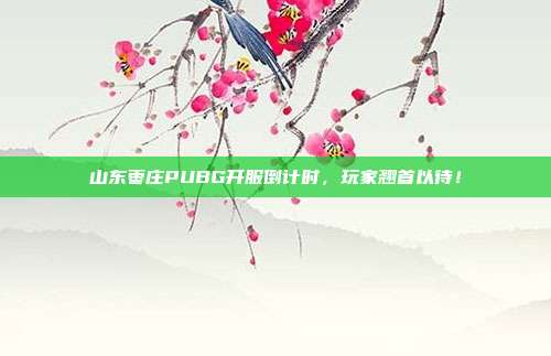 山东枣庄PUBG开服倒计时，玩家翘首以待！