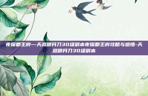 夜探郡王府—天涯明月刀30级副本夜探郡王府攻略与感悟-天涯明月刀30级副本