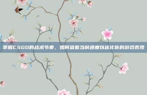 掌握CSGO的战术节奏,如何查看当前速度以优化你的游戏表现