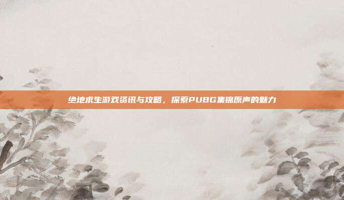 绝地求生游戏资讯与攻略,探索PUBG集锦原声的魅力