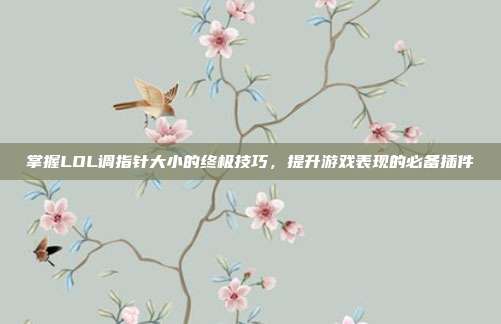 掌握LOL调指针大小的终极技巧，提升游戏表现的必备插件