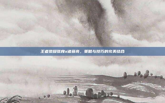 王者荣耀张良x诸葛亮,策略与技巧的完美结合