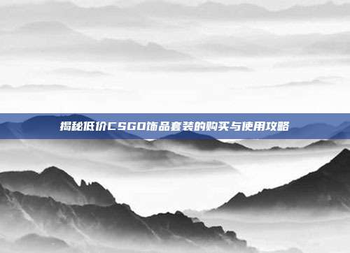 揭秘低价CSGO饰品套装的购买与使用攻略