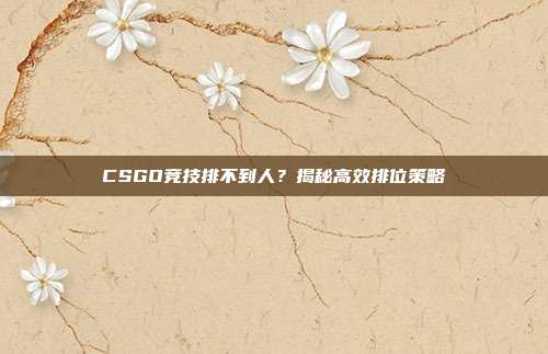 CSGO竞技排不到人？揭秘高效排位策略