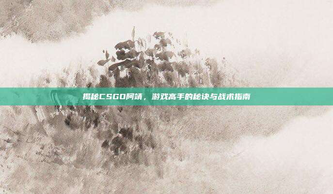 揭秘CSGO阿靖,游戏高手的秘诀与战术指南
