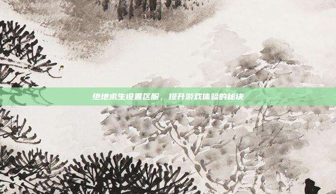 绝地求生设置区服，提升游戏体验的秘诀