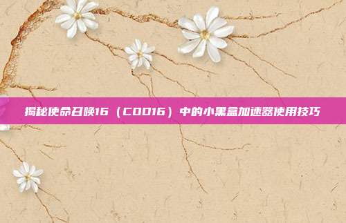 揭秘使命召唤16（COD16）中的小黑盒加速器使用技巧