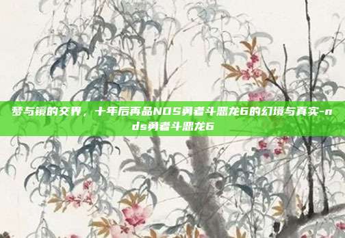 梦与镜的交界，十年后再品NDS勇者斗恶龙6的幻境与真实-nds勇者斗恶龙6