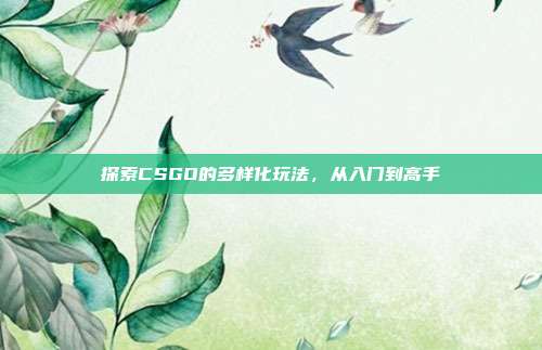 探索CSGO的多样化玩法，从入门到高手