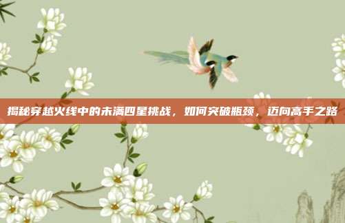 揭秘穿越火线中的未满四星挑战，如何突破瓶颈，迈向高手之路