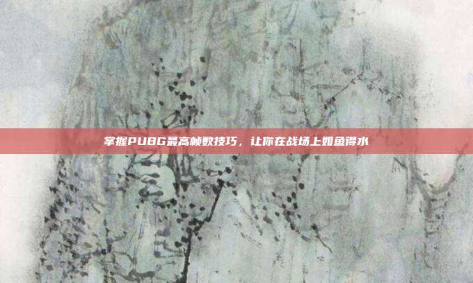 掌握PUBG最高帧数技巧，让你在战场上如鱼得水