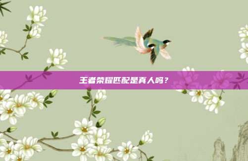 王者荣耀匹配是真人吗?