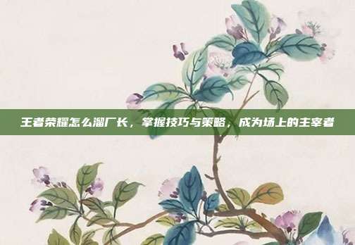 王者荣耀怎么溜厂长,掌握技巧与策略,成为场上的主宰者