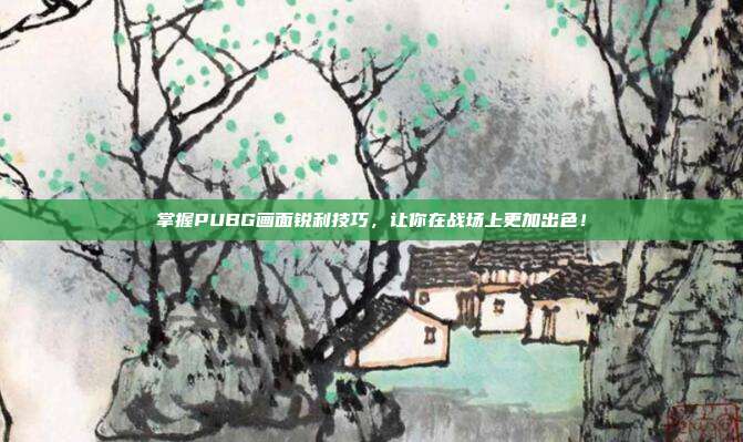 掌握PUBG画面锐利技巧,让你在战场上更加出色!