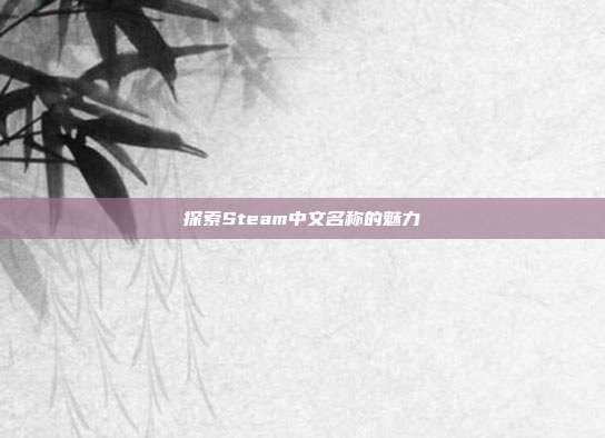 探索Steam中文名称的魅力