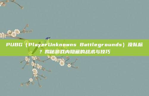 PUBG（PlayerUnknowns Battlegrounds）没队标？揭秘游戏内隐藏的战术与技巧