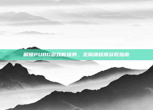 解锁PUBG游戏新境界，无障碍权限获取指南